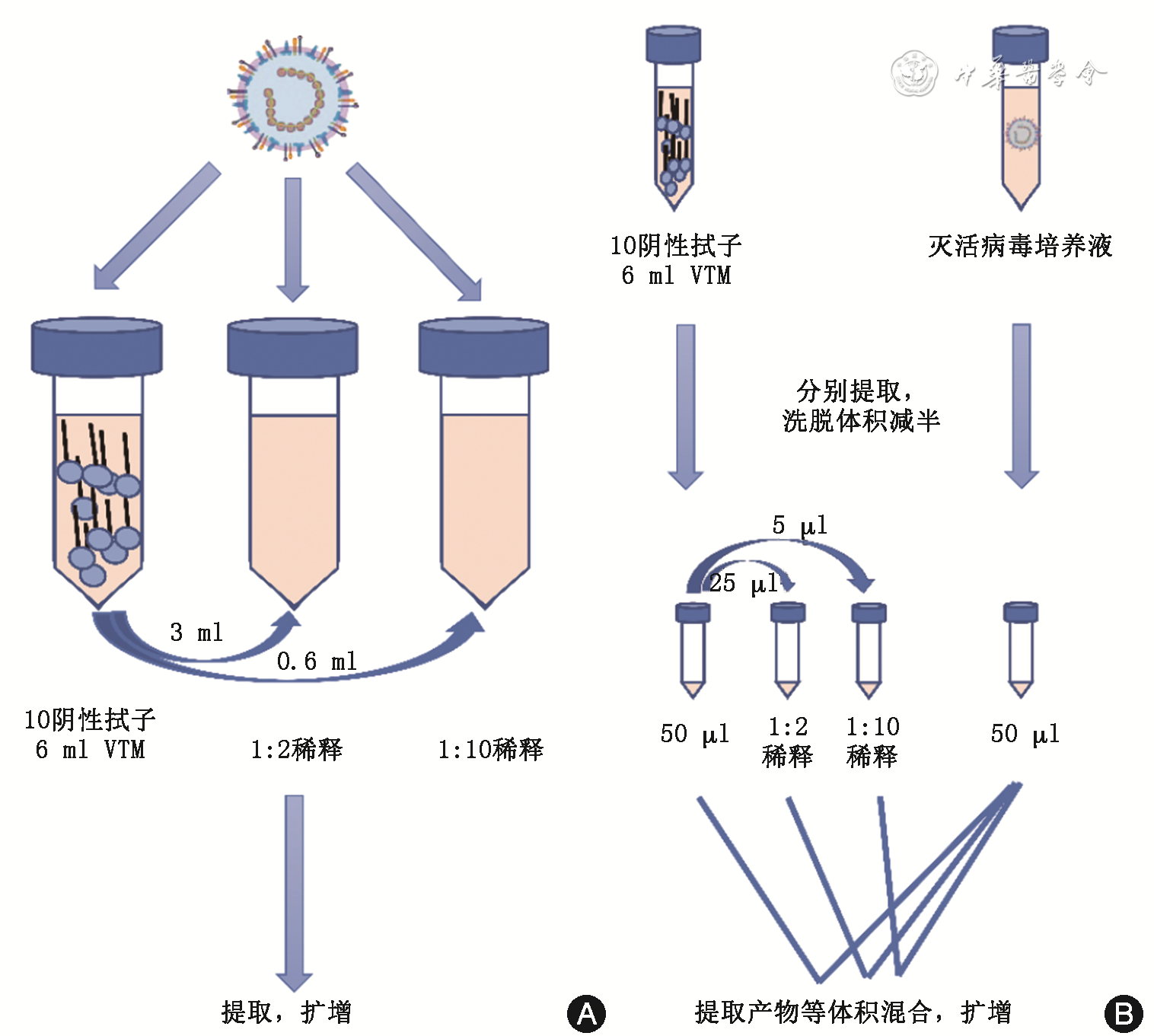 新型冠状病毒核酸混采对检测结果的影响