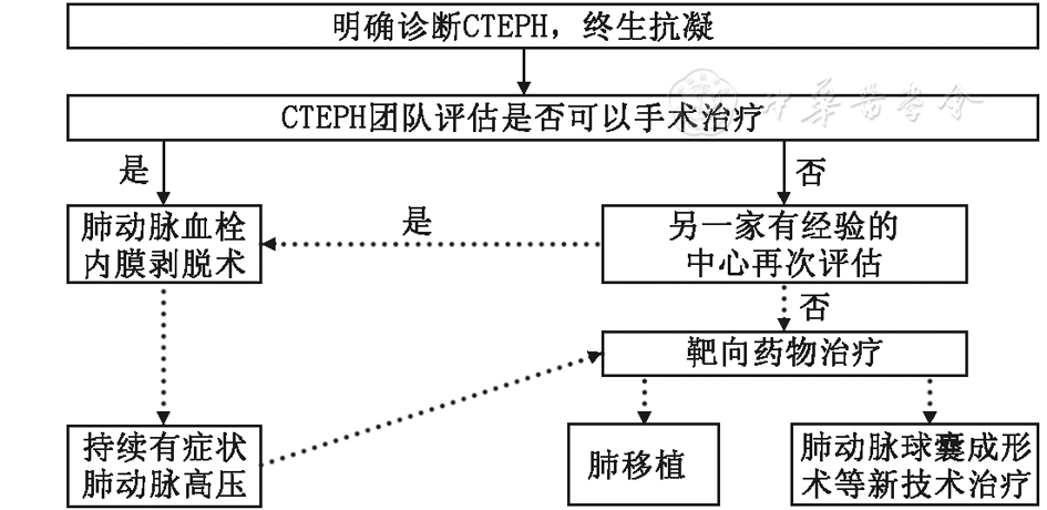 慢性血栓栓塞性肺高血压(cteph)的治疗流程图