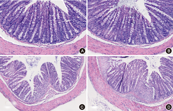 点击查看大图 图3 各组小鼠结肠组织组织病理学评级(he ×40)
