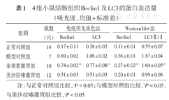 姜黄素调控自噬促进实验性结肠炎小鼠肠黏膜修复