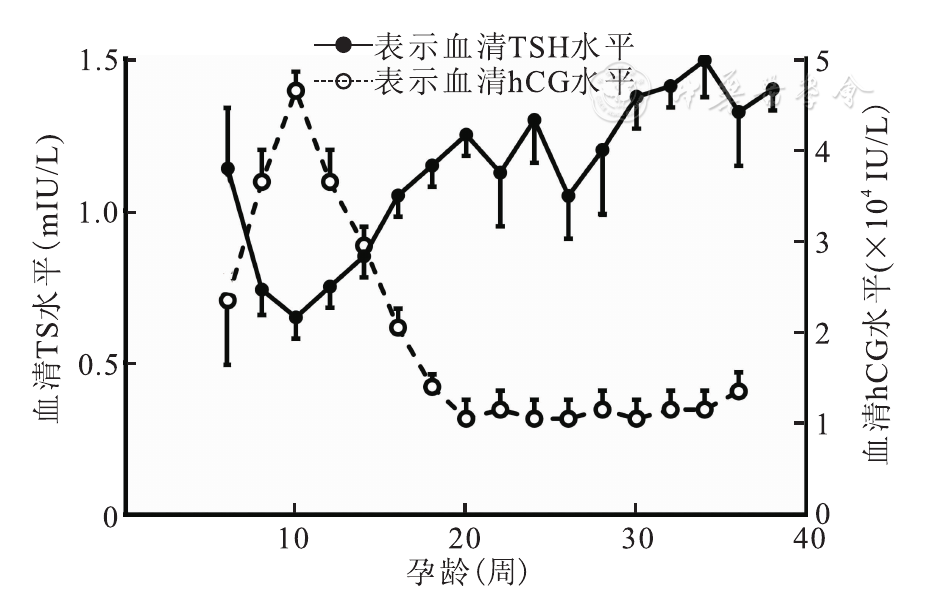 注:hcg为人绒毛膜促性腺激素,tsh为促甲状腺激素 妊娠期血清hcg