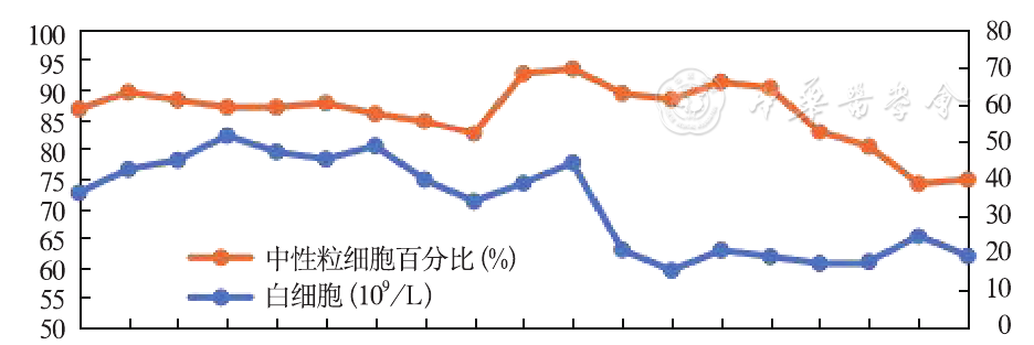 图5 白细胞及中性粒细胞比例动态变化