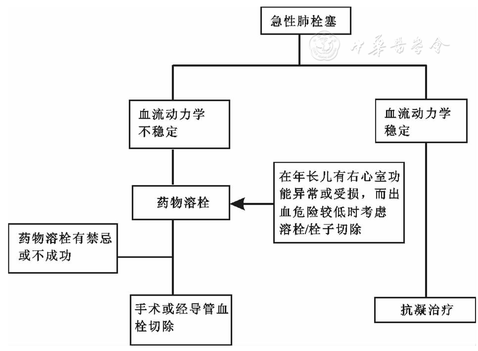 儿童肺栓塞与肺静脉血栓