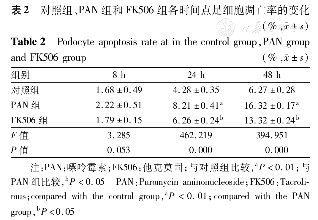 他克莫司对嘌呤霉素损伤的足细胞中a 辅肌动蛋白 4表达的影响