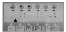 制作成15 cm×30 cm大小的模板,其上印制疼痛评估工具,以长海痛尺结合