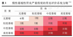 国际上首次提出针对胃黏膜萎缩程度和范围的分期,分级标准,即olga系统