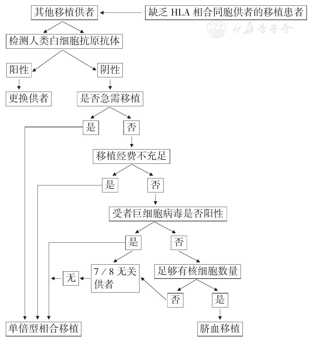 美容幹細胞操作流程圖(美容幹細胞操作流程圖片)