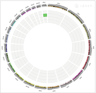 47xyydup13q1211t49q211q223r21p12q223withazoospermiaandlow