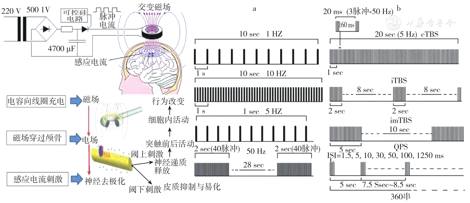 rtms臨床治療指南與2019-ncov相關神經精神疾病治療推薦 - 中華衛生應