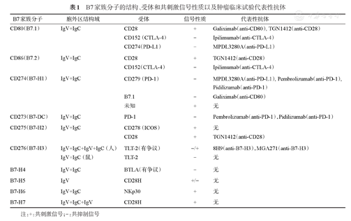 B7家族共刺激分子在血液系统恶性肿瘤中的研究进展 - 中华血液学杂志