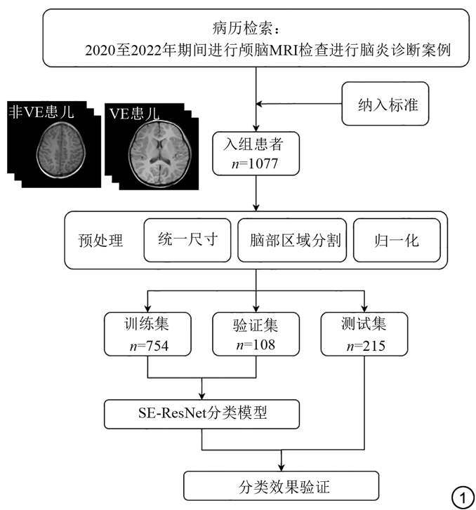 基于卷积神经网络的儿童病毒性脑炎磁共振影像分类与早期诊断研究