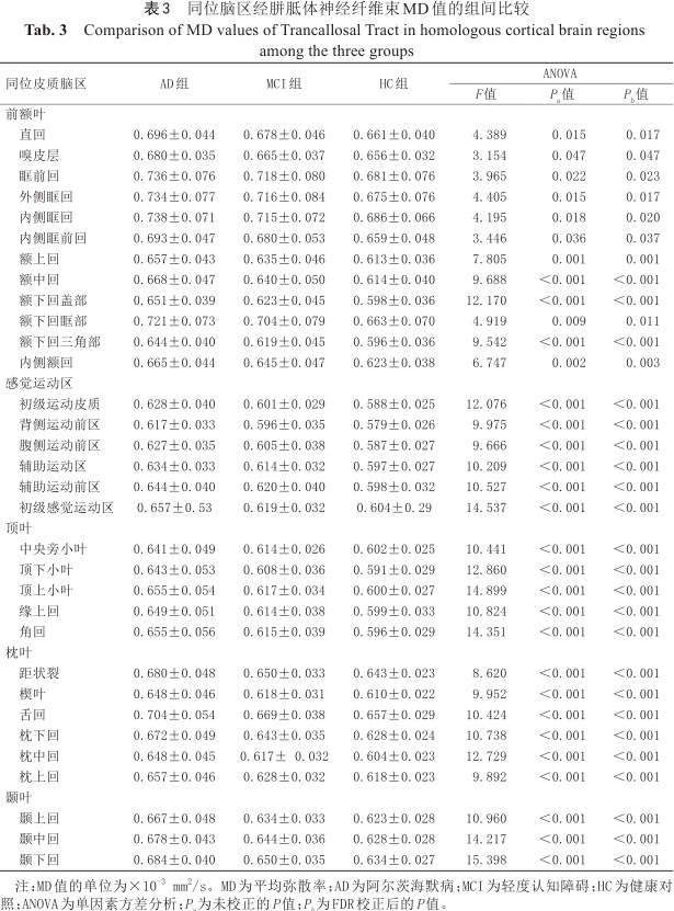阿尔茨海默病和轻度认知障碍的大脑半球间结构连接异常：一项基于DTI的研究 - 磁共振成像