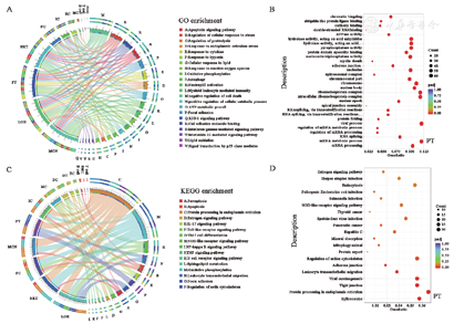 Single-cell RNA sequencing reveals the transcriptomic landscape of ...
