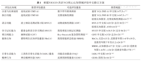 2019年中国血管性认知障碍诊治指南