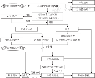 中国肺动脉高压诊断与治疗指南（2021版）