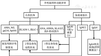 自身免疫性肝炎诊断和治疗共识(2015)