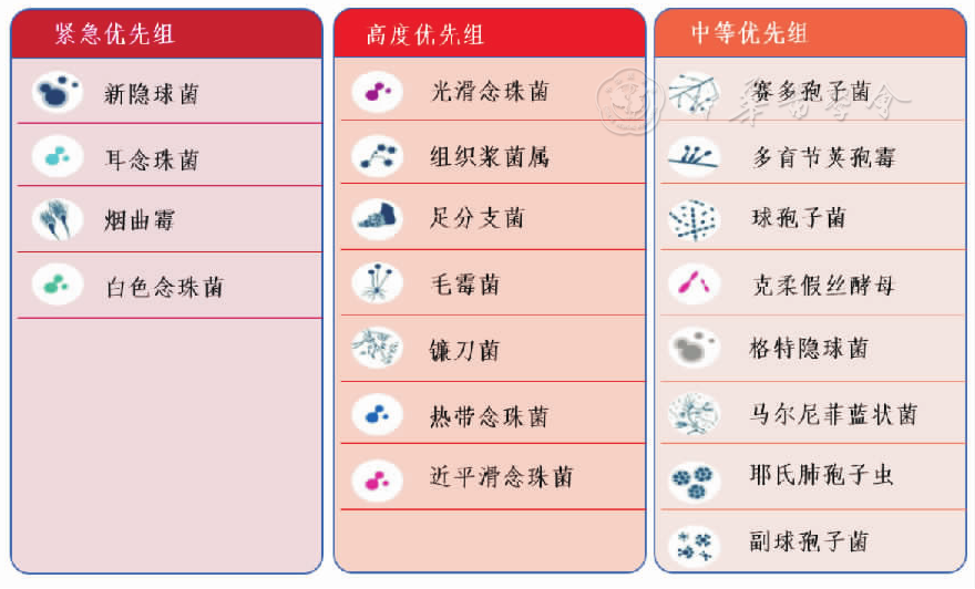 2022年世界卫生组织真菌重点病原体清单解读